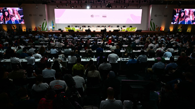 41c18b3d f3b6 45f0 bfe2 4098107a31f9 file.png