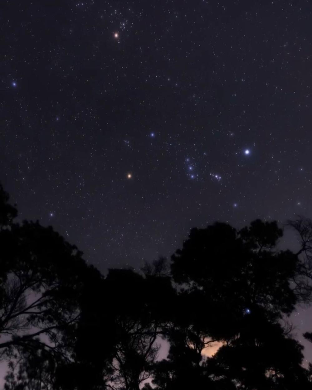 430a7dfd 60d8 42a6 92ab b3e72075c689 file.jpg