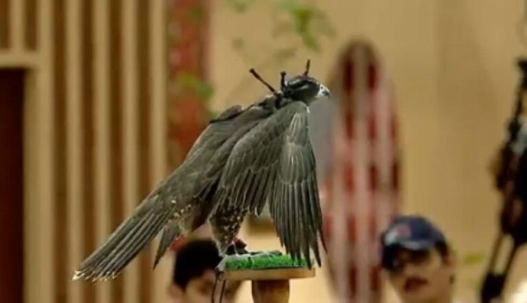 48c156c1 abe6 4311 90b4 511bc62c4e1e file.jpg