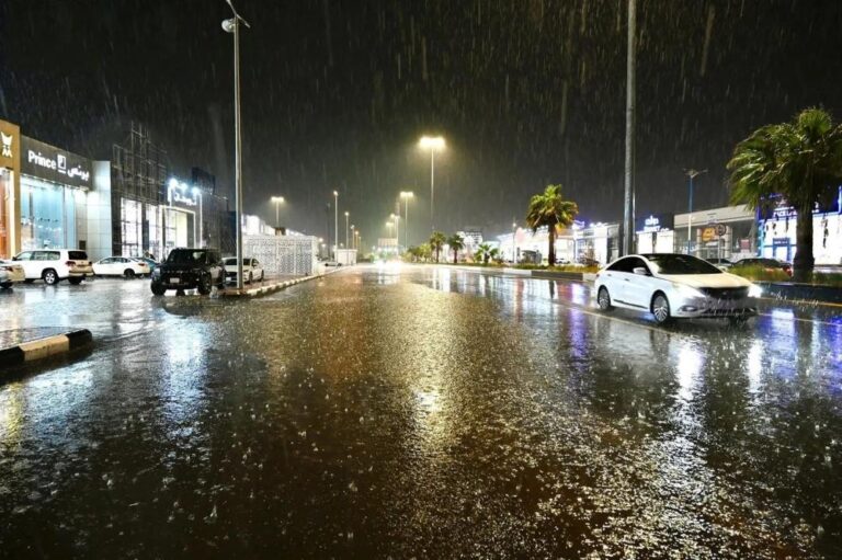 4b87e7b5 28fb 4deb acd9 234982fbb7f1 file.jpg