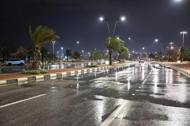 4c1775b2 b616 4693 80a5 a526b9b98eb9 file.jpg