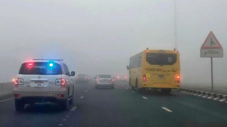 4d087980 e0f0 4c70 8f7a 0079dd5cf715 file.jpg