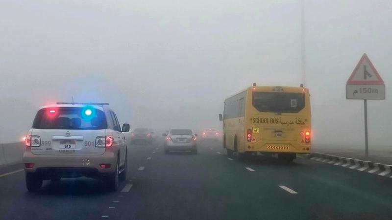 4d087980 e0f0 4c70 8f7a 0079dd5cf715 file.jpg