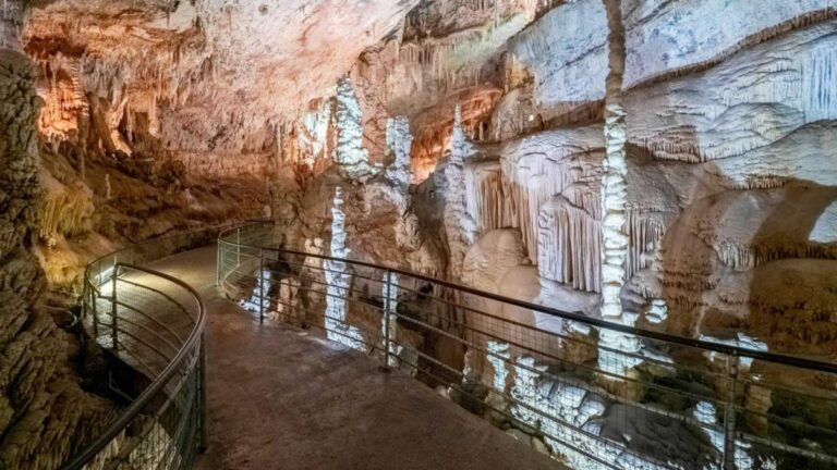 4e296490 4953 400e 958f 6217649a62de file.jpg