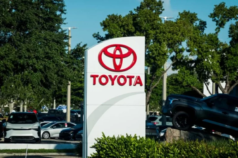 51b6f6a8 76b3 4598 a0bb 6cd2c76c797b file.webp