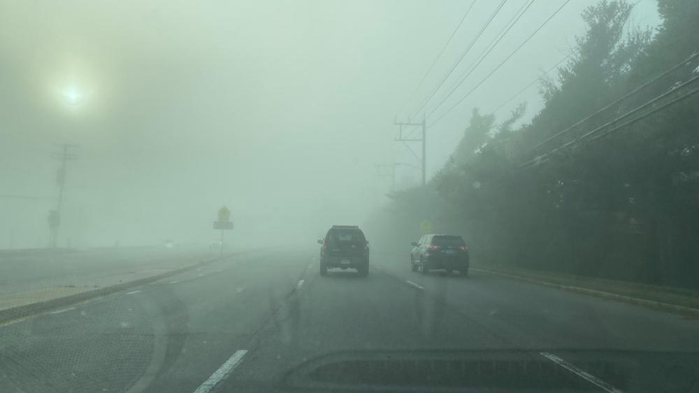 51f552ba 2d16 4c12 8ff8 f37913cbd1f2 file.jpg