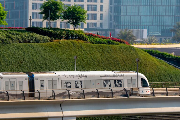 561bf325 bf93 4941 b92c e3e233ea4a33 file.jpg