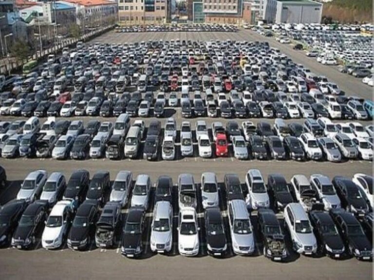 58ab1144 215b 4733 8baa 64d1ed17af53 file.jpg