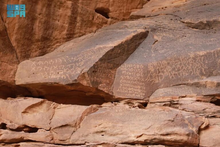 5c3c1c59 2231 41e8 8854 08bd3b2668eb file.jpg