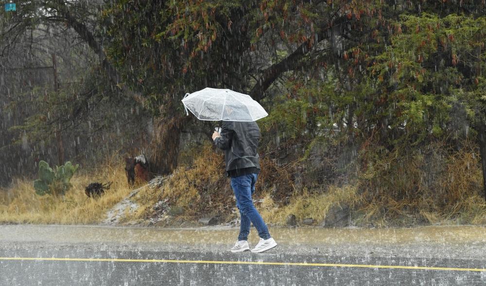 5e346cfc 06f8 4d80 9142 bb3a91dc573c file.jpg