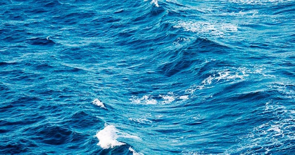 عاجل: نتائج دراسة جينية تكشف عن تنوع أحيائي غير مسبوق في البحر الأحمر