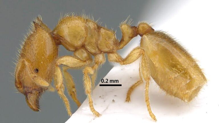 6dfb4405 4f3e 4aef 816c 43a2b8e6bbef file.jpg