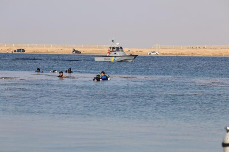 6e92d011 761f 444f a52f fb26617e6525 file.jpg