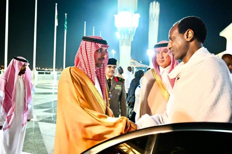 70d1bfee 1de7 41a7 a672 df9bf362de75 file.jpg