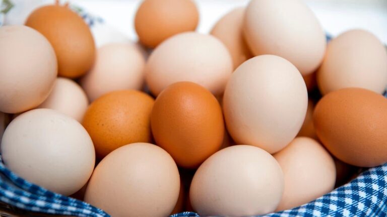 723fc86d 6857 40dd bbde 307ca5a84bdb file.jpg