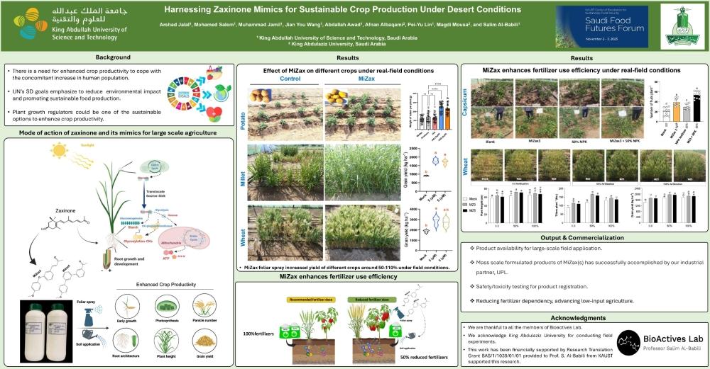 عاجل: دراسة سعودية تنجح في زيادة إنتاج القمح والدخن بمحفزات نمو طبيعية