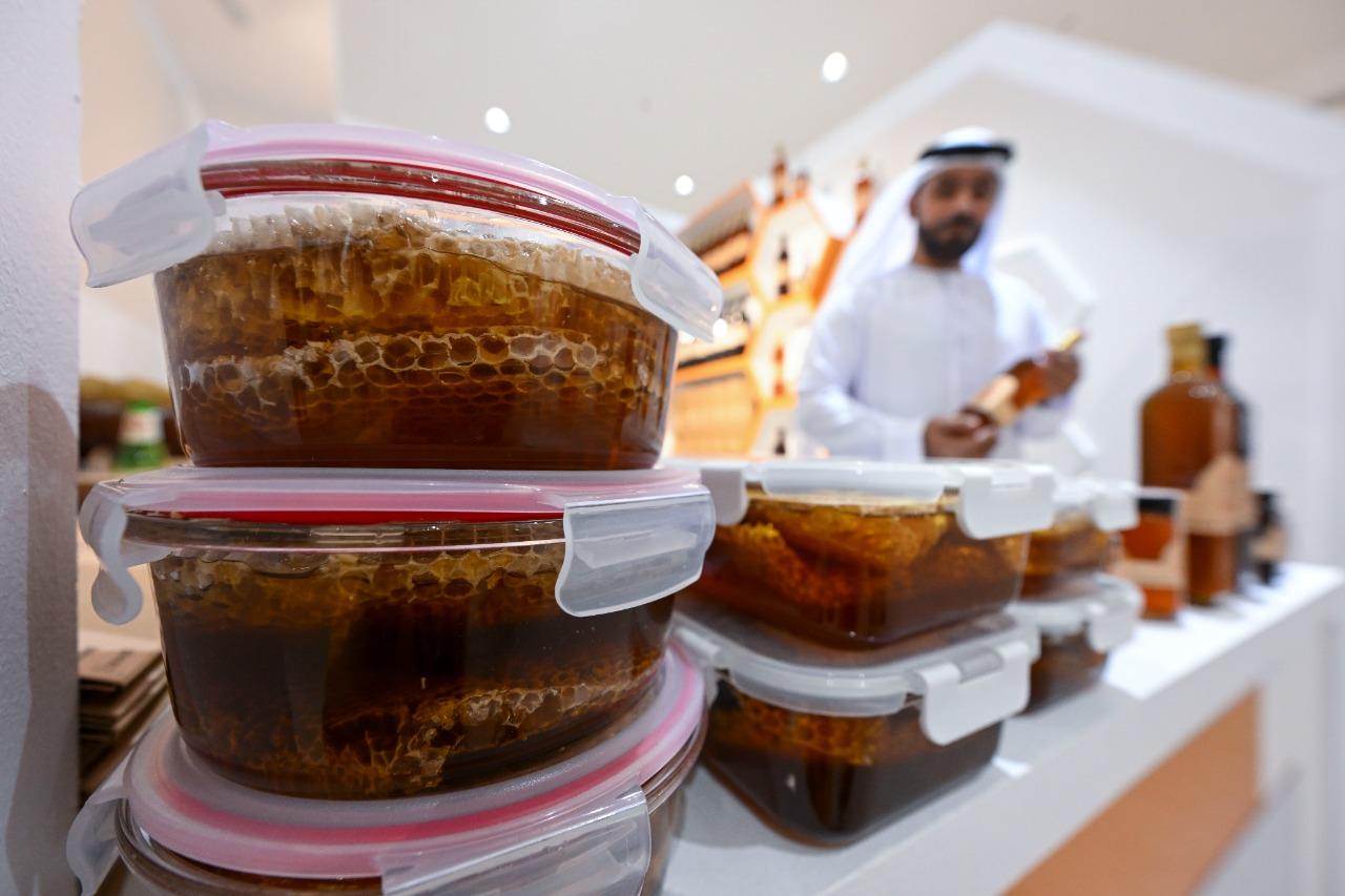 77bbf7c0 e15f 4b9e a488 d38024b3860d file.jpg