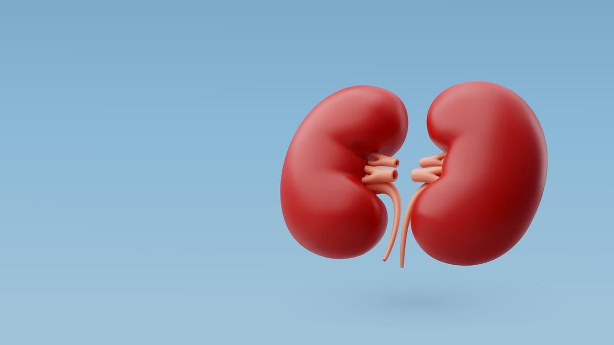 دراسة حديثة.. تحليل دم جديد يتنبأ بدقة أكبر بتطور أمراض الكلى