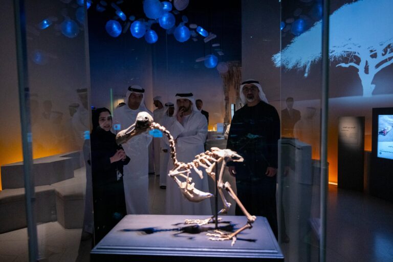 80061a04 a21e 4121 bab2 c9b2072fe298 file.jpg