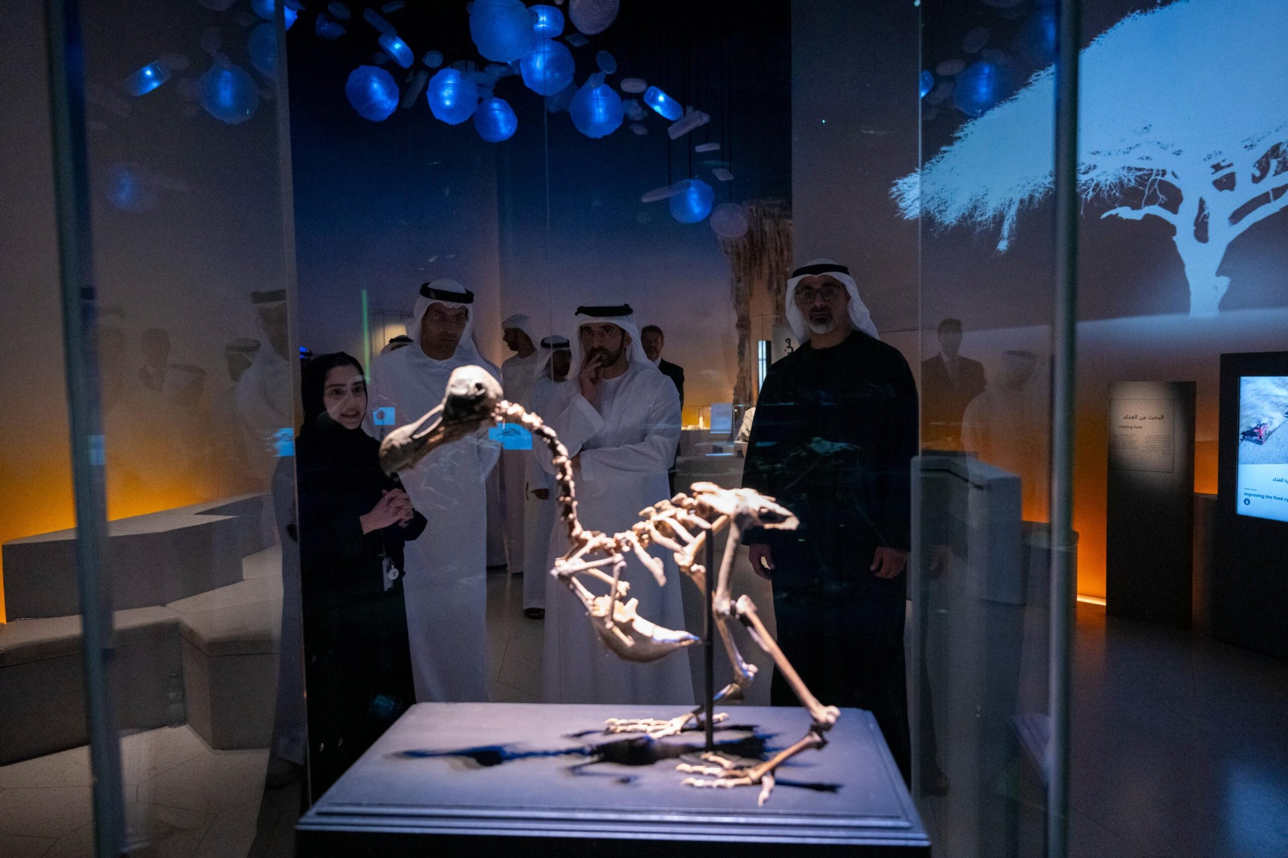 80061a04 a21e 4121 bab2 c9b2072fe298 file.jpg