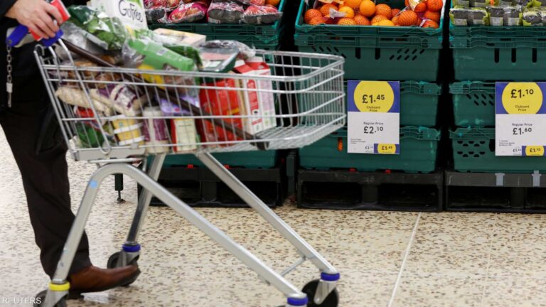 81228fd9 e8fe 46b8 8a08 dcf3d15557e6 file.jpeg