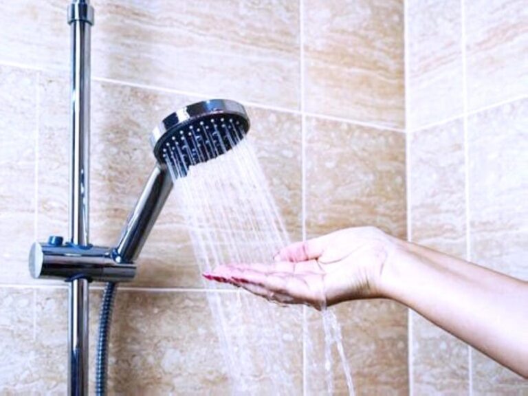 83c0c8bd 3018 4fa0 9fd6 61a34eea2e78 file.jpg