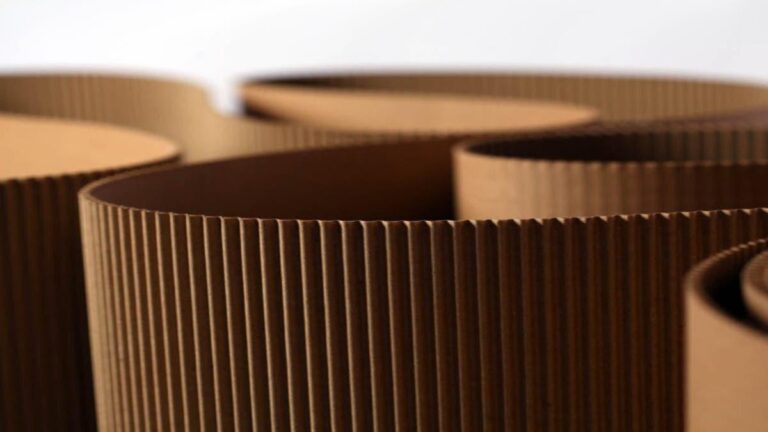 84cf7e00 fd1e 4cd0 b0f0 a664ea7dad98 file.jpg