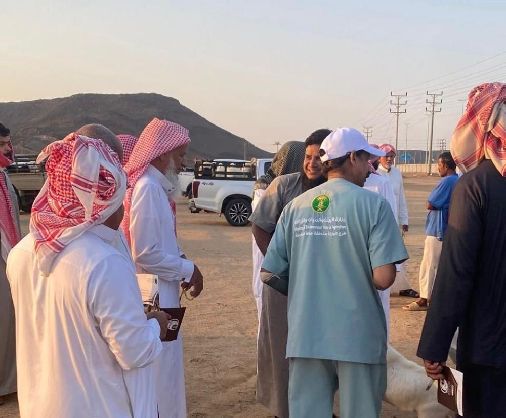 867c75e5 e40e 4185 9ac1 5220e2a13dba file.jpg