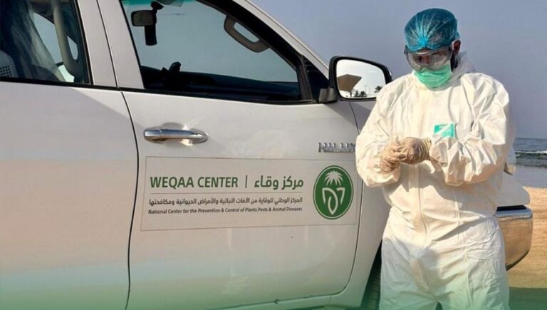 869b2aff c233 446e 91e3 40ffb332789d file.jpg