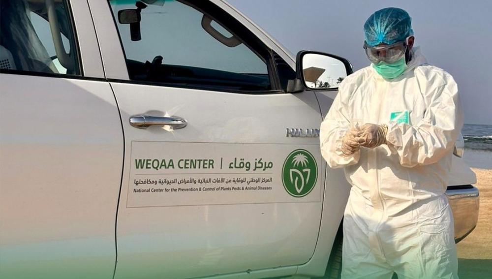 بـ90 ألف عينة.. “وقاء” ينفذ أوسع مسح وبائي لرصد أمراض الحيوانات بالمملكة