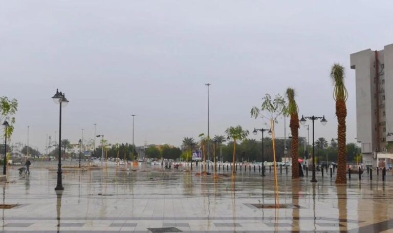 8ad8adf0 aa4f 4580 8578 d59ab91d86d7 file.jpg