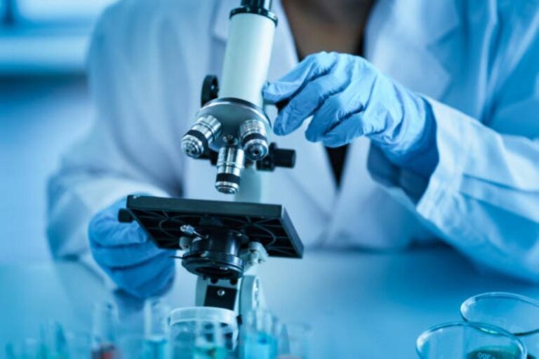 8afe1529 df4a 463f 8c56 e1e237d5a635 file.jpg