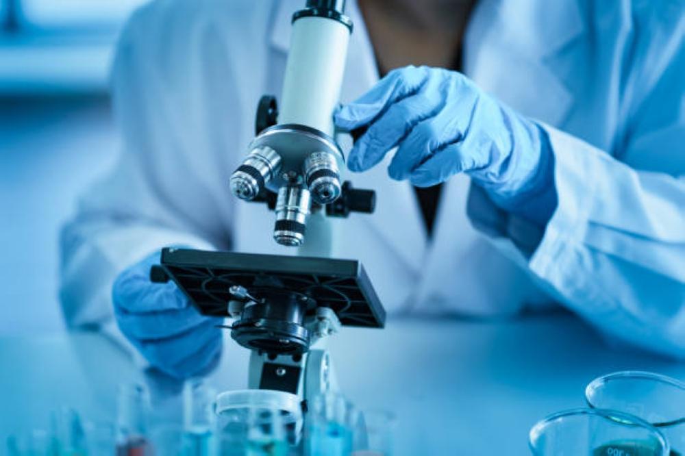 8afe1529 df4a 463f 8c56 e1e237d5a635 file.jpg