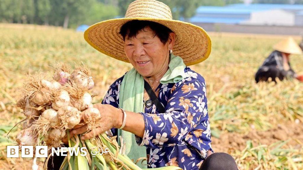 8f288c0c 8f56 4f96 9968 fa2c9fa016bf file.jpg