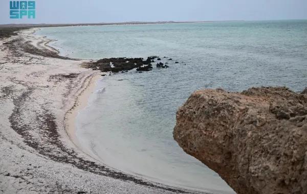 911e8163 1f04 42f9 bcf7 e59b0a687934 file.jpg