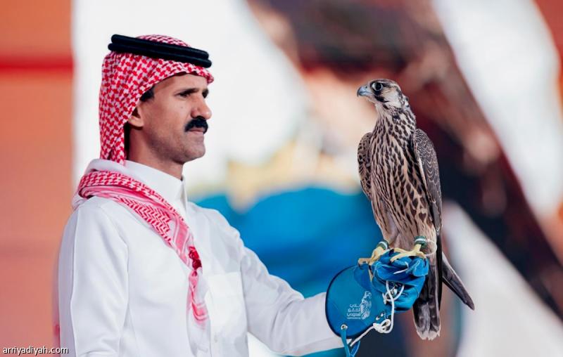 بيع شاهين فرخ بـ 71 ألف ريال