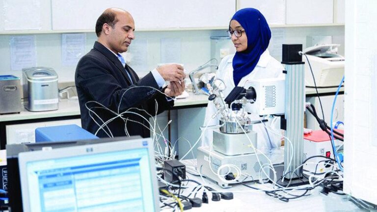 981efd02 0c2c 46d6 a546 b29a9fa858b1 file.jpg