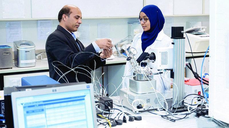 981efd02 0c2c 46d6 a546 b29a9fa858b1 file.jpg