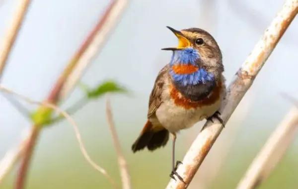 9913772d 66d2 465b b184 9753a1f6af98 file.jpg