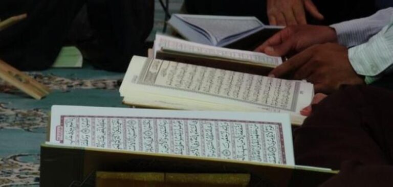 9ff71535 8370 4eef 92bf 3cef82b8d350 file.jpg