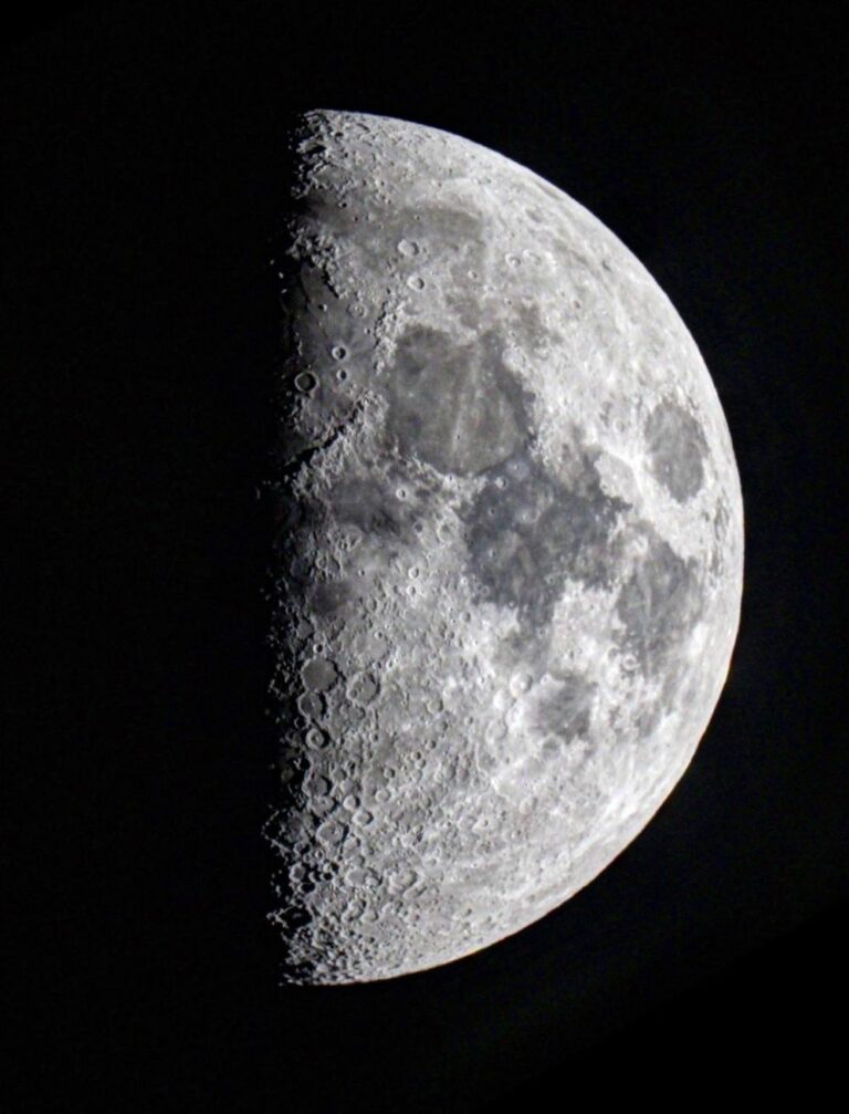 A3fcf8ab 471a 4dda ba20 55c9243796d5 file.jpg