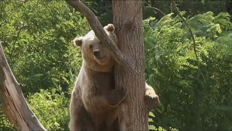 B086d96f d803 494a 9d4f ea8e0033823f file.jpg