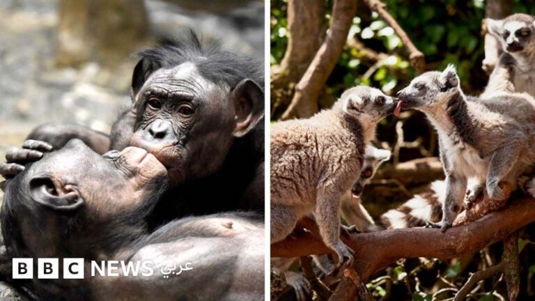 B292791e 8324 4ca1 8e93 d5e42bb431b8 file.jpg