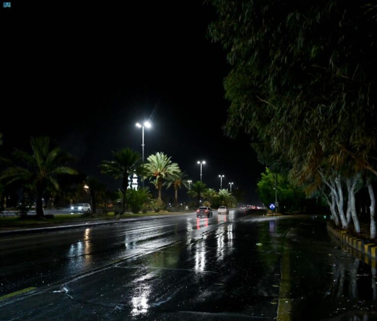 B412ed91 0f0e 4431 8aeb 70e2eeb94fcd file.jpg