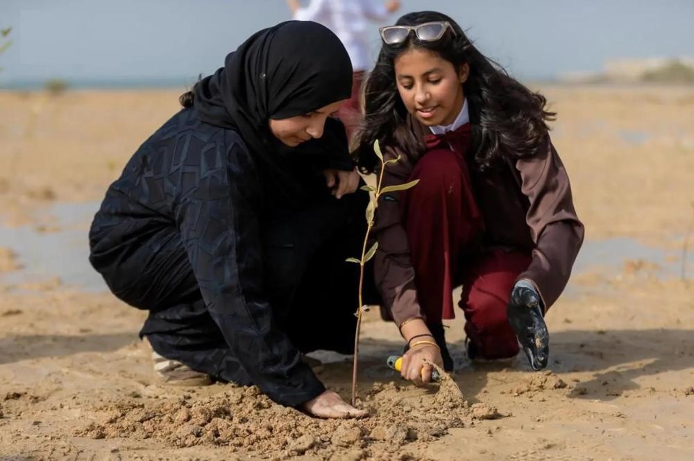 B46c5e36 19c9 4cdf a3a8 95220f2ff572 file.jpg