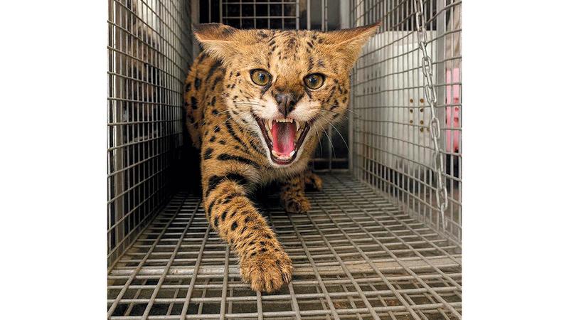 B8a84973 0506 40e2 b66d 4218e8feaffc file.jpg