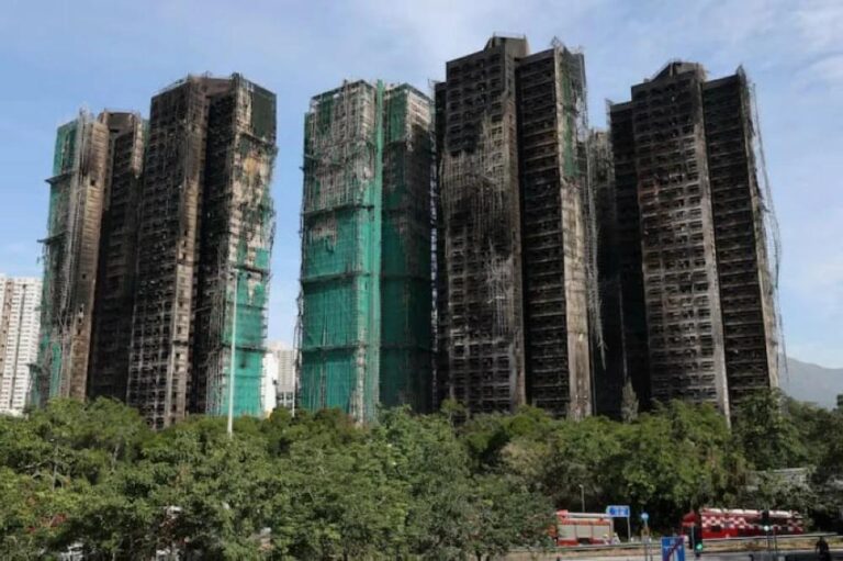 B910e911 6567 4ed2 a7ef f66fe3a8a313 file.jpg