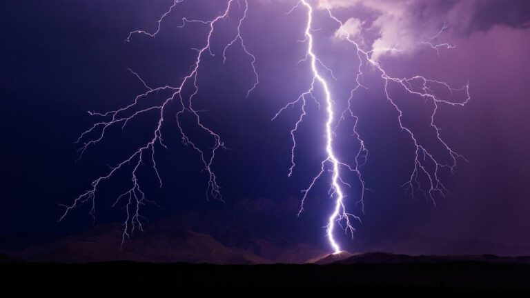 B94d48a9 6d4c 4865 9ba8 3ad1583b05bf file.jpg