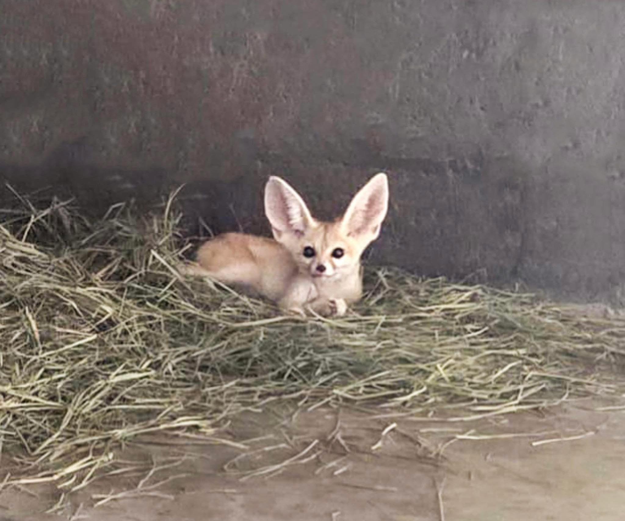 Bce6dc9b 311b 448b bbf2 61a93faccc6e file.jpg