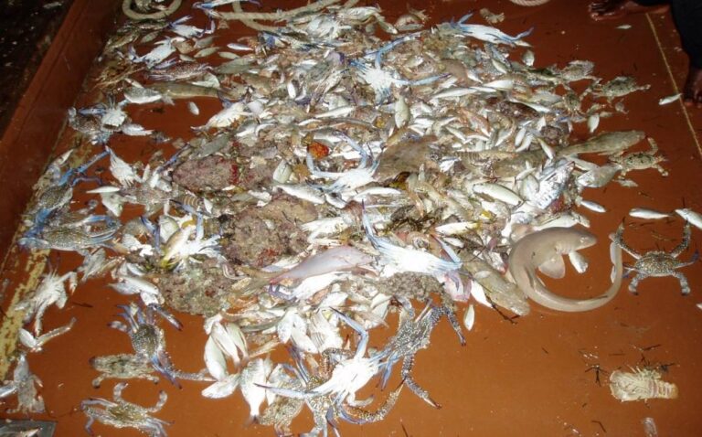 Bd7abe86 61db 4279 990a fb24f0578d3e file.jpg